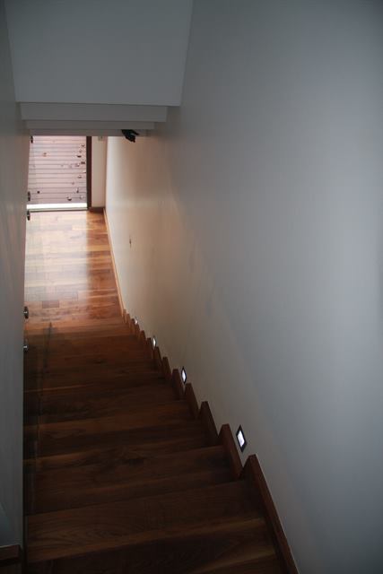 Lindsay Muse